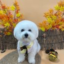 딱이네미용실 이미지