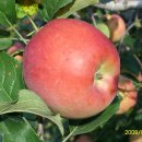 곡성농장 이미지