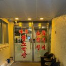화사막창 | ‘강민경 화사 막창집’ 다동 황소막창 내돈내산 후기 ( ੭ ˙🐽˙ )੭