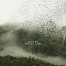 음악과 함께 듣는 자연생태환경 이야기 매거진 docking