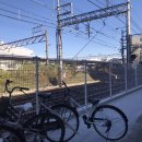 월드 건강식품점 | 20191113_일본생활(D+77):우메다 한신백화점 이것저것 먹기