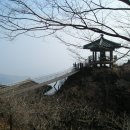 구미상록수관광