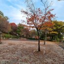 점성공원 이미지