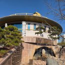 낙성농장 | 부산 금정구 두구동 홍법사 최대 황금불상 방문 후기