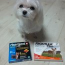 유니동물약국 이미지