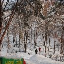 雪國 나주, 눈쌓인 금성산의 아름다움 이미지