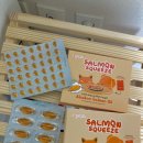 강아지스푼 이미지