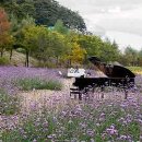 2021 plz페스티벌 이미지