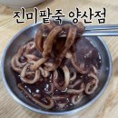 [광주 북구 맛집] 광주 팥죽 맛집 진미팥죽 양산점