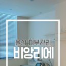 비앙리에