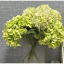 글로벌 행정사 이미지