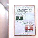 ORGA beauty(올가뷰티)