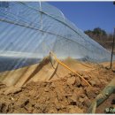 봄바람하우스 이미지