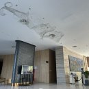 THE SPRING | 스프링 홈-더 깜라인 리조트 (Spring Home-The Cam Ranh Resort) 후기 0.5박