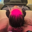 (주)채움 | 부산 힐링두피스파, 두피채움, 뿌리염색 잘하는 컬러드스파 부산대점 내돈내산 후기