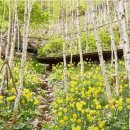 화담펜션 이미지