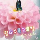 개화 경로당 이미지