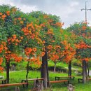 충북도립대학교 이미지