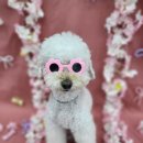 멍케어존 이미지