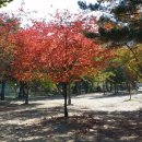 구만동 오토캠핑장 이미지