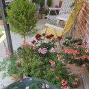 고다상사 이미지