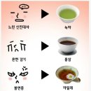 오다 - 강남구 도산대로89길 18 | 오다