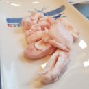 조원일식민어참치