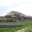 야외화장실 이미지