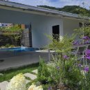 스테이 본디 이미지