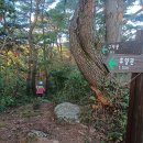 구재봉자연휴양림 이미지