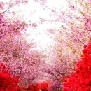 남미륵사 이미지