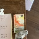 요가위드사라