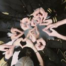 손**-2