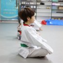 화랑태권도장 이미지