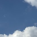 겨울이 끝나가는 주간일기 (홈트, 직장인 살기 위한 운동, 솥밥, 장인한과, 루미큐브, 회사생활, 신혼...