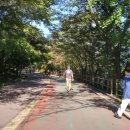 국립극장 공연예술박물관 이미지