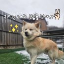 빅콩