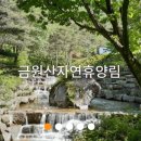 산삼자연휴양림 이미지