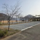 돌산캠핑장 Daum카페