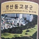 2024.9.22 배산,연산동고분군,노포5일장,해운대하천황톳길 이미지