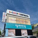 알레르망화성
