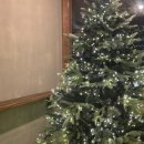 외동반림로-2 | [공지] [창원/가로수길 데이트] 옴샨티 향수 공방 후기