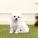스타미용타운 이미지