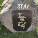 스테이돌덕 이미지