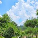 그린에덴펜션 이미지