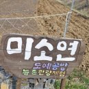 미소연