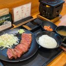 포항시북구60 | 포항 영일대 맛집 규카츠정 내돈내산 솔직후기