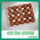 요세비농장 | [체험단 후기] [응답하라아지매/요세비농장 2차] 기억력 개선에 도움을 주는 유황함유된 유황계란