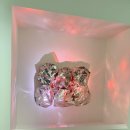 A Room With A View | 도쿄 여행-도쿄 국립 근현대 미술관 미술 여행 후기