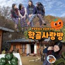 공주 숙소 학골사랑방 촌캉스 즐기고 힐링한 후기